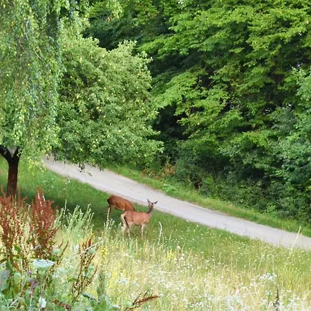招待所 Trubarka Trenčín