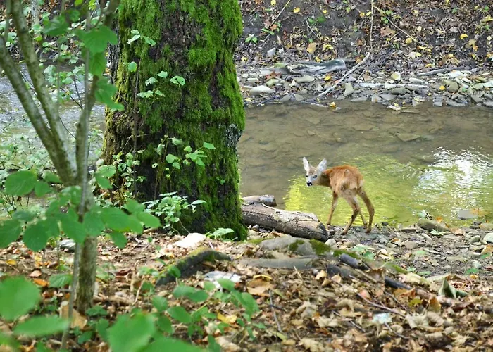 Trubarka 게스트하우스 *