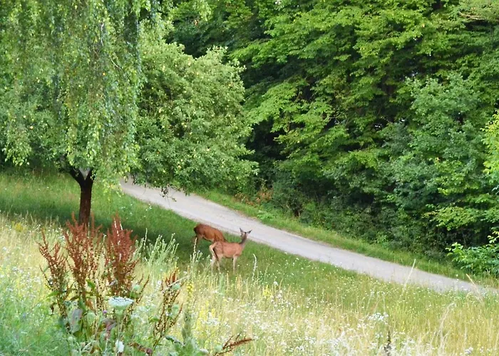 Penzion Trubarka Trenčín