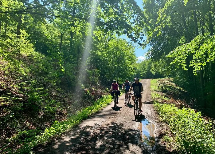 Trubarka * Trenčín